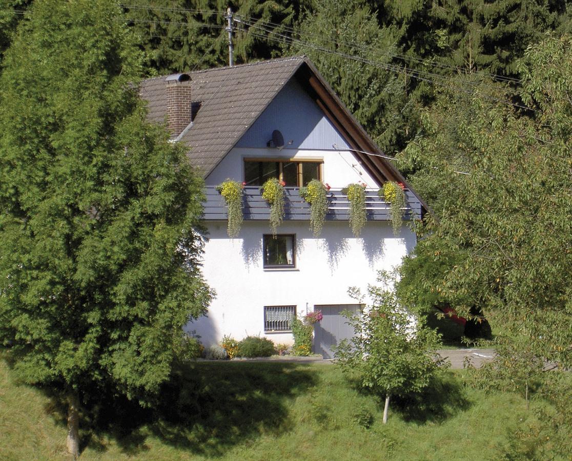 Haus Wolter Apartment Gengenbach Exterior photo